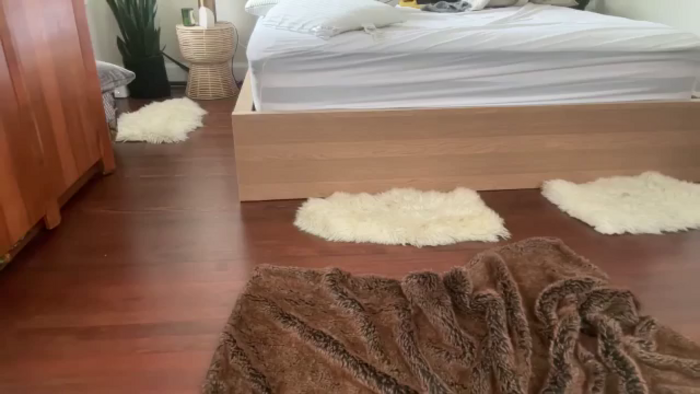 Jade_Haze