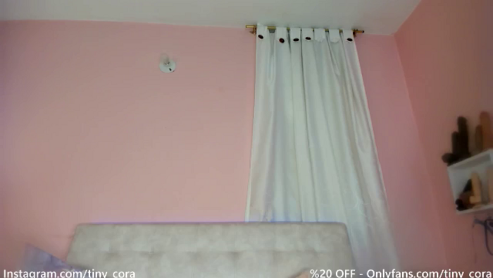 Tiny_Cora