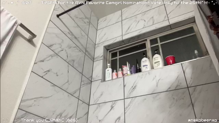Nekobeanxo