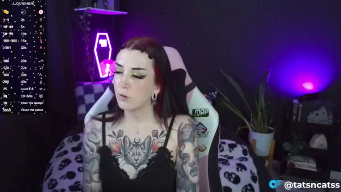 TatsnCats