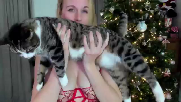 WildestKitten