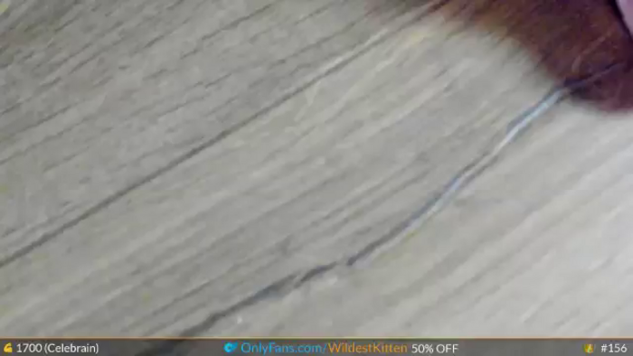WildestKitten