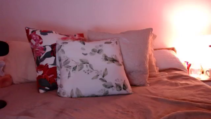 cheetah_
