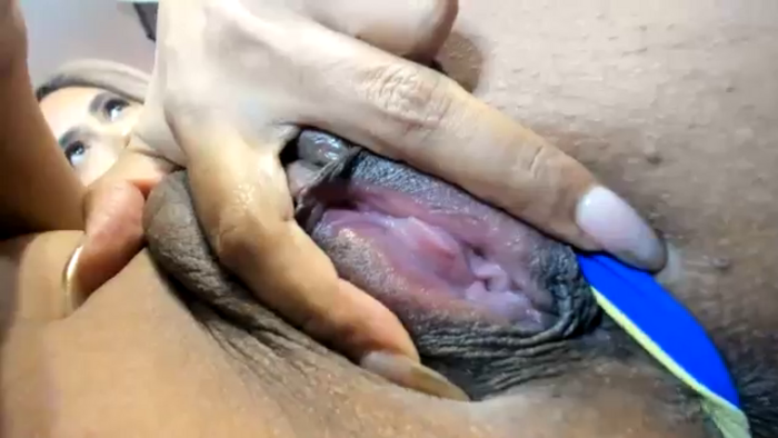 ExoticLILYxo