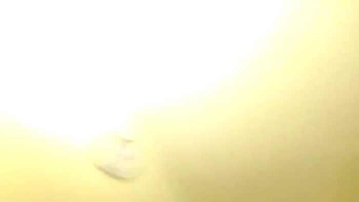 EgyptBeauty