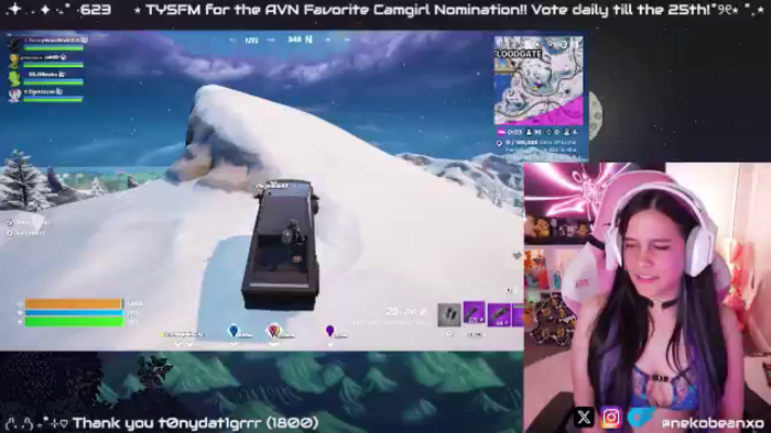 Nekobeanxo