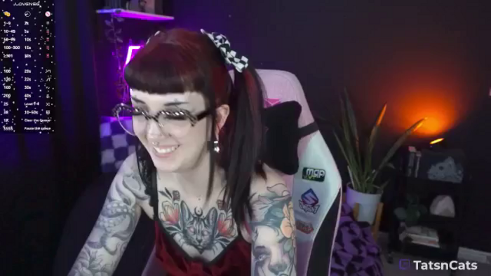 TatsnCats