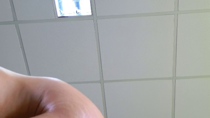 LaurynCopper