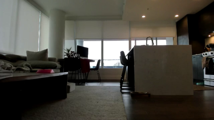 Mollyboots