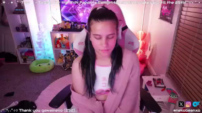 Nekobeanxo