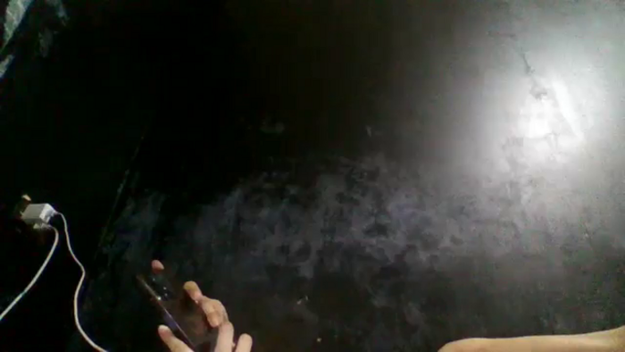 exoticlulu