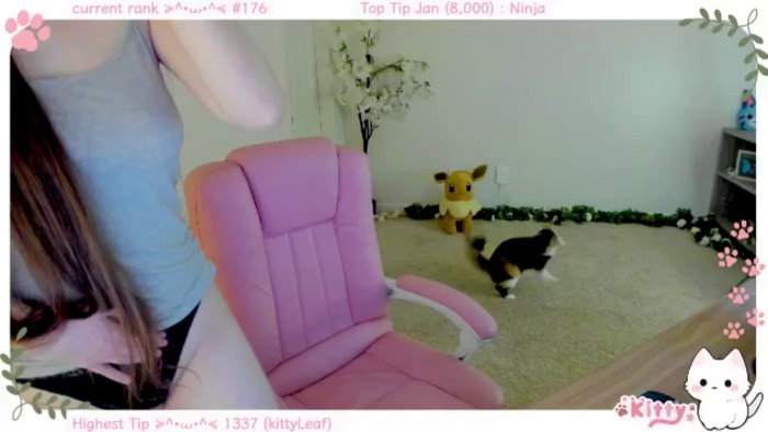 Kitty
