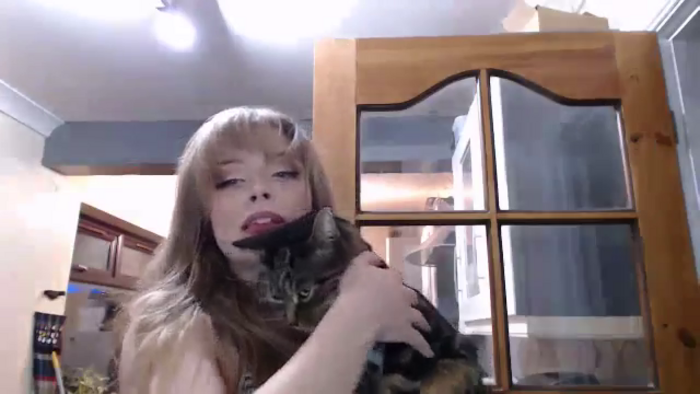 Kittycash3w