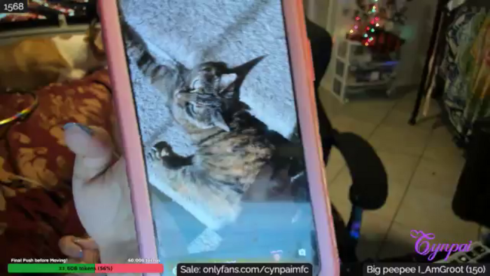 Cynpai