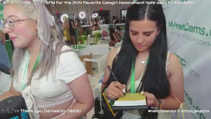Nekobeanxo