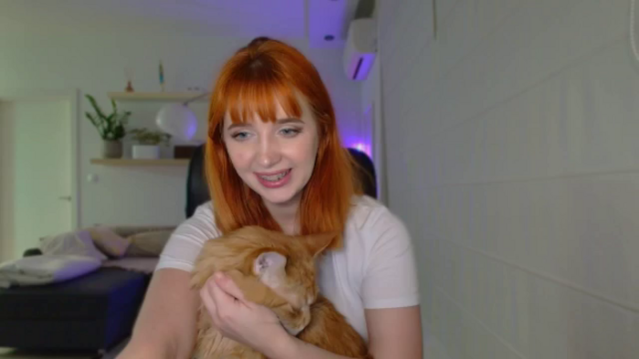 KotisFoxy