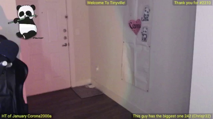 ATinyCassie