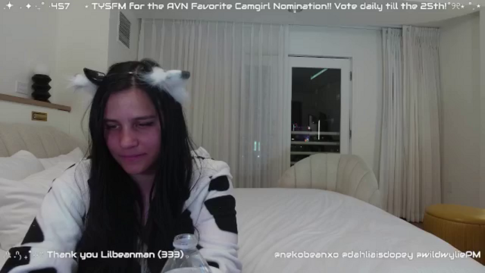 Nekobeanxo