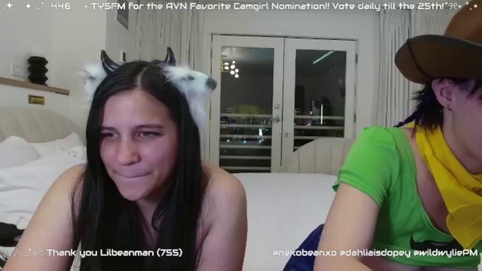 Nekobeanxo