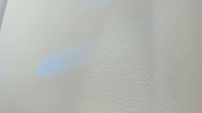 Bunni_