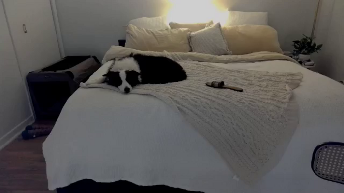 eh1_Scarlett