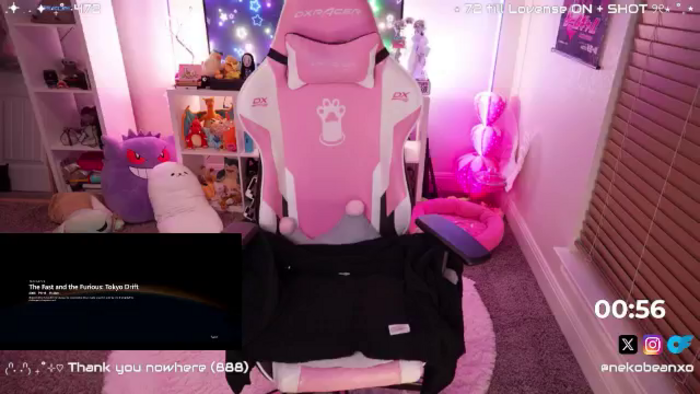 Nekobeanxo