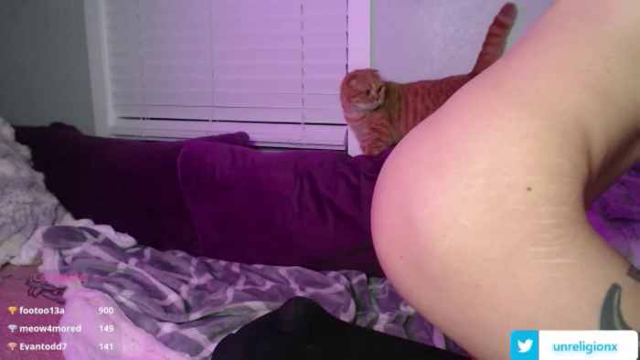 LittleViv