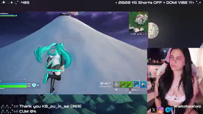 Nekobeanxo