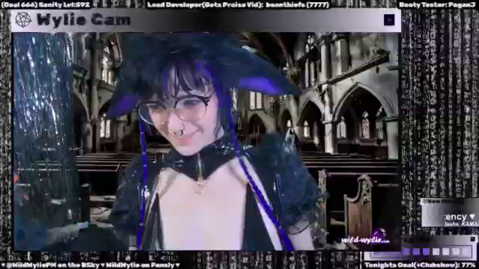 WildWyliePM
