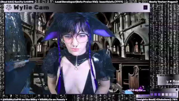 WildWyliePM