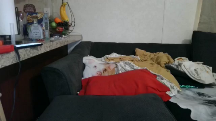 Sofieyoungxxx