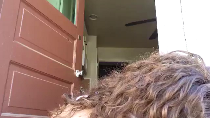 TrollopTaylor
