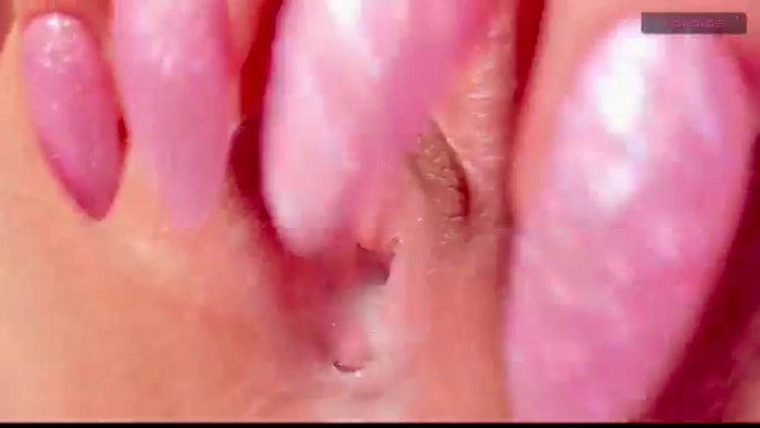 Elysi_
