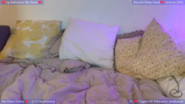 KotisFoxy