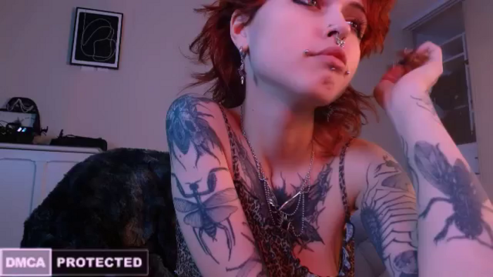 CuddleFoxy