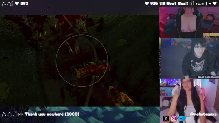 Nekobeanxo