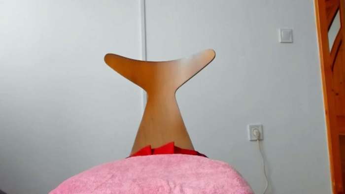Wildallisa