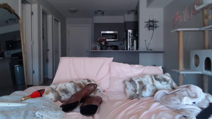AlexisWildest