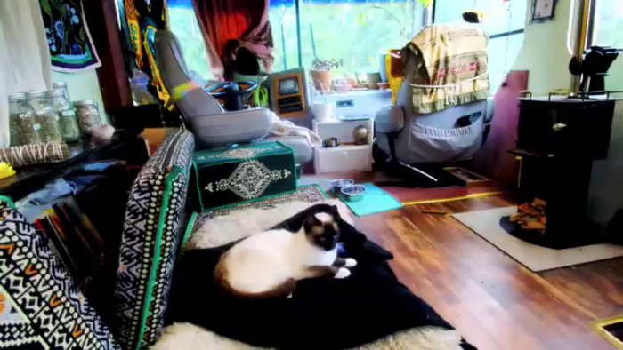 Effykitty420