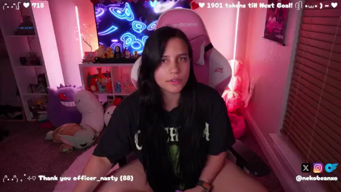 Nekobeanxo