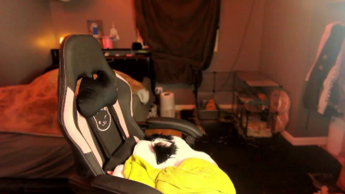 PetitePet