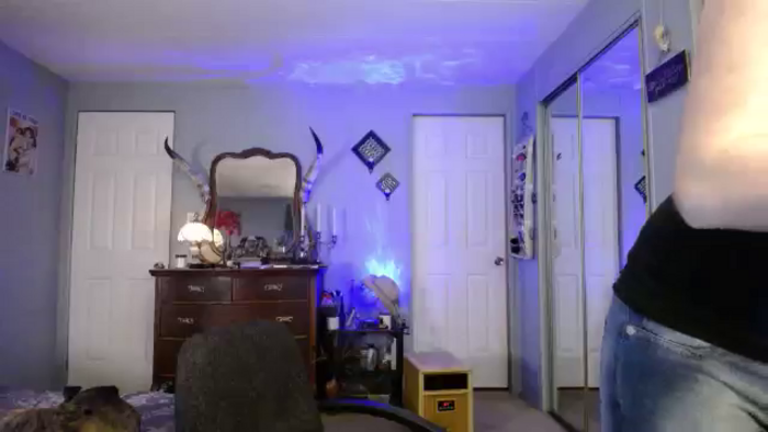 Classic_Daisy