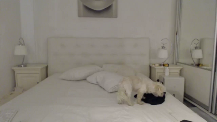 AlisonBB