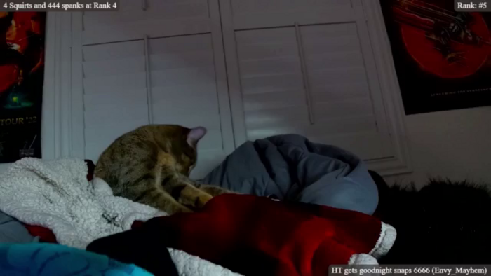 MollyMayhem