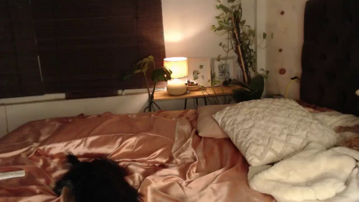 Lucy_mar