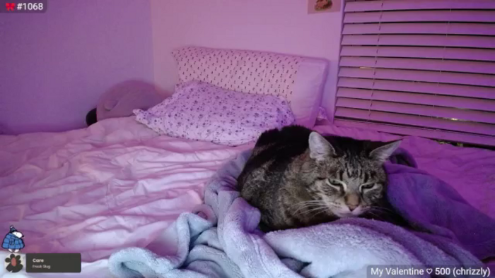 Monica