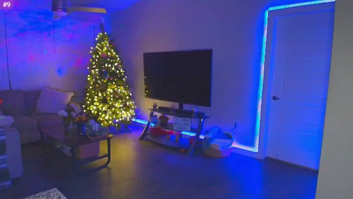 Sammy_gray