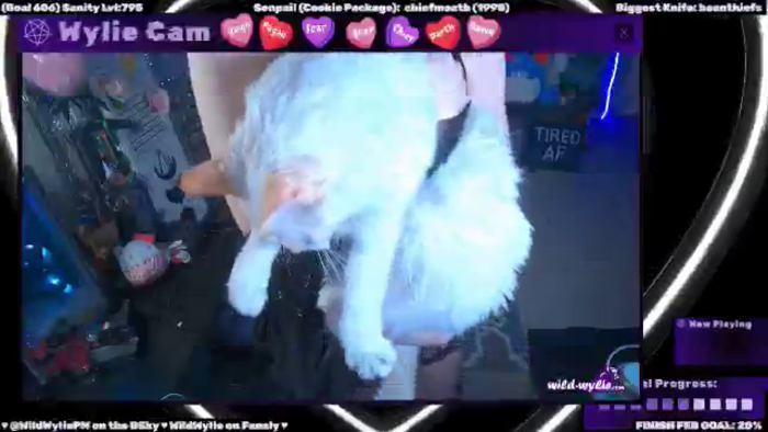 WildWyliePM
