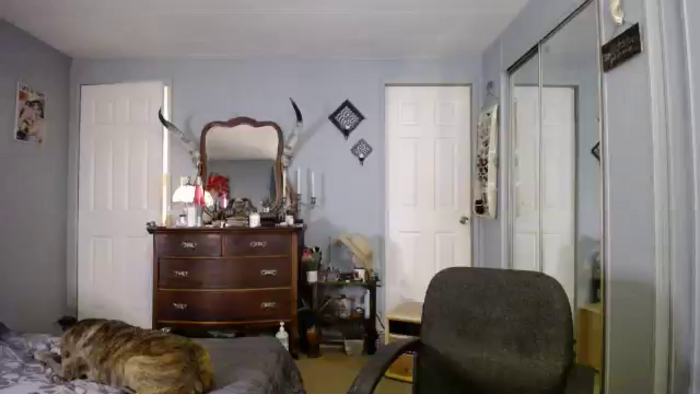 Classic_Daisy