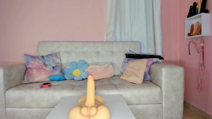 Tiny_Cora